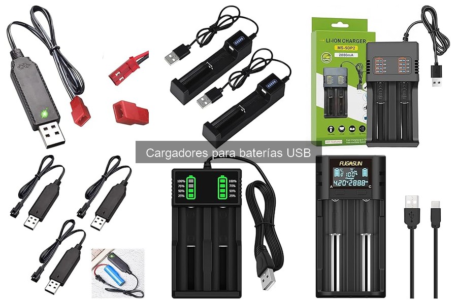 Tipos de Cargadores USB para Baterías: ¿Cuál Elegir?